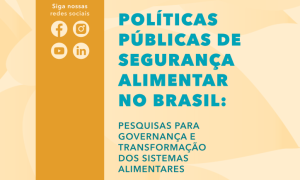 II Simpósio INCT Combate à Fome (04/12/2024)
